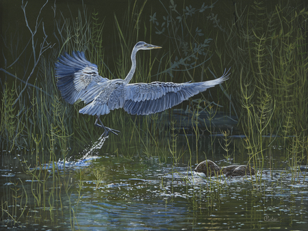 BLUE HERON AND OTTER
