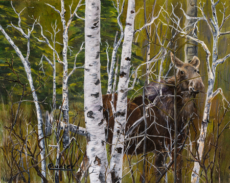 Fall Encounter