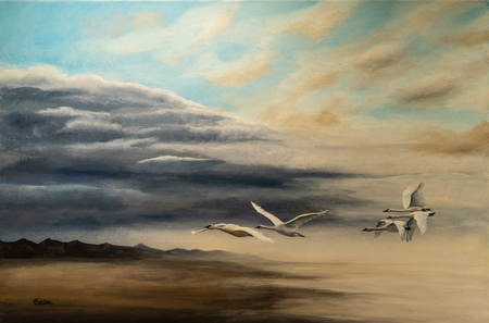 Migration