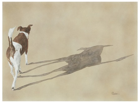 HIS  SHADOW