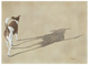 HIS  SHADOW