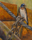Barn Swallow On Old Machinery