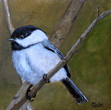 Chickadee 9