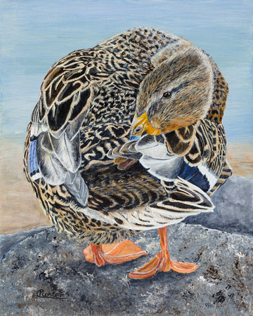 Miss Mallard