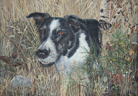 Skye