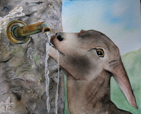 A THIRSTY DAY