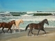 Hear The Waves