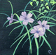 FLORAL FIREWORKS