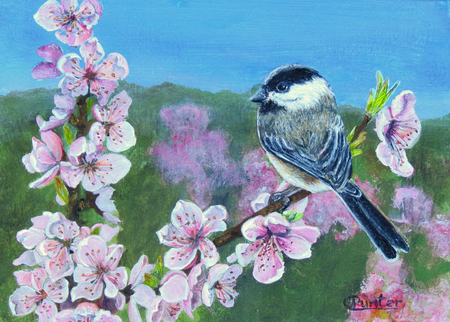 Chickadee 8
