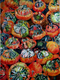 HARVEST JOY
