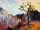 BRYCE CANYON