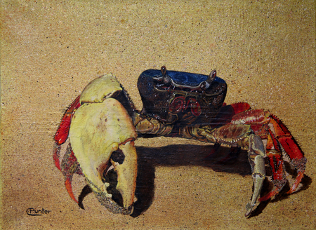 CRAB  ALICE