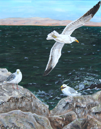 BETWEEN SEA AND SKY