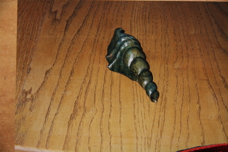 SHELL