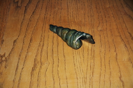 SHELL