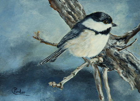 CHICKADEE 1