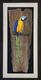 PAPAGEI
