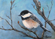 Chickadee 3