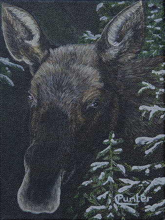 MOOSE