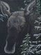 MOOSE