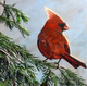 CARDINAL