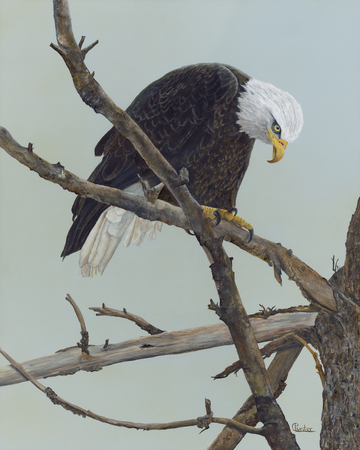 GREAT SPIRIT