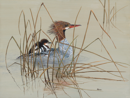 MERGANSER