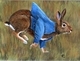 Rabbit Thomas