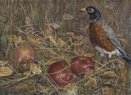 Robin