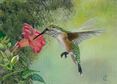 Spring