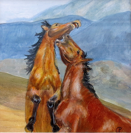STALLIONS